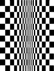 Bridget Riley - Movement In Squares