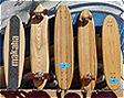 Skate Board