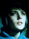 Sixties City - Bringing on back the good times