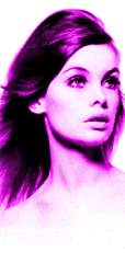Jean Shrimpton